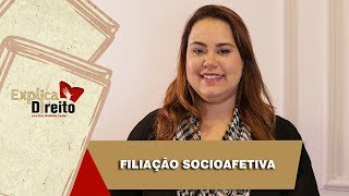 Explica Direito Filiação Socioafetiva  2019 [upl. by Ramel]