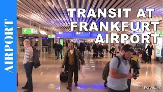 TRANSIT WALK AT FRANKFURT Airport FRA Terminal 1  Connection Flight Transfer Arriving amp Departing [upl. by Schatz238]